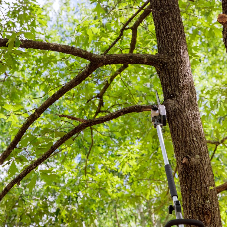 Landscaping and Lawncare in Downington, PA Landscaping and Lawncare in Downington, PA
